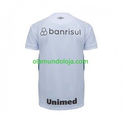 Camisola Gremio Homem Equipamento Segundo 2023-2024 Manga Curta